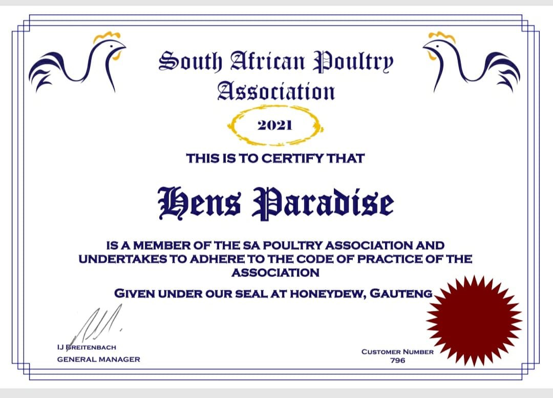 South African Poultry Association certificate confirming Hens Paradise as a member since 2021