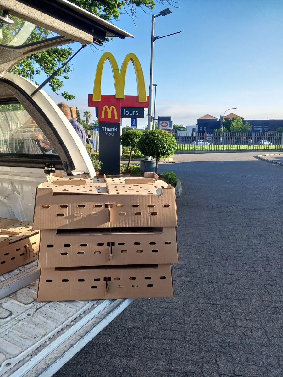Chick boxes loaded onto a vehicle tailgate at a roadside delivery meeting point