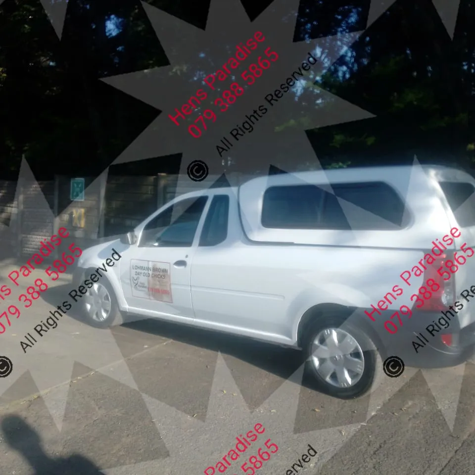 IMG-20250217-WA0018