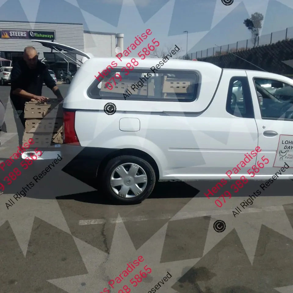 IMG-20250217-WA0061