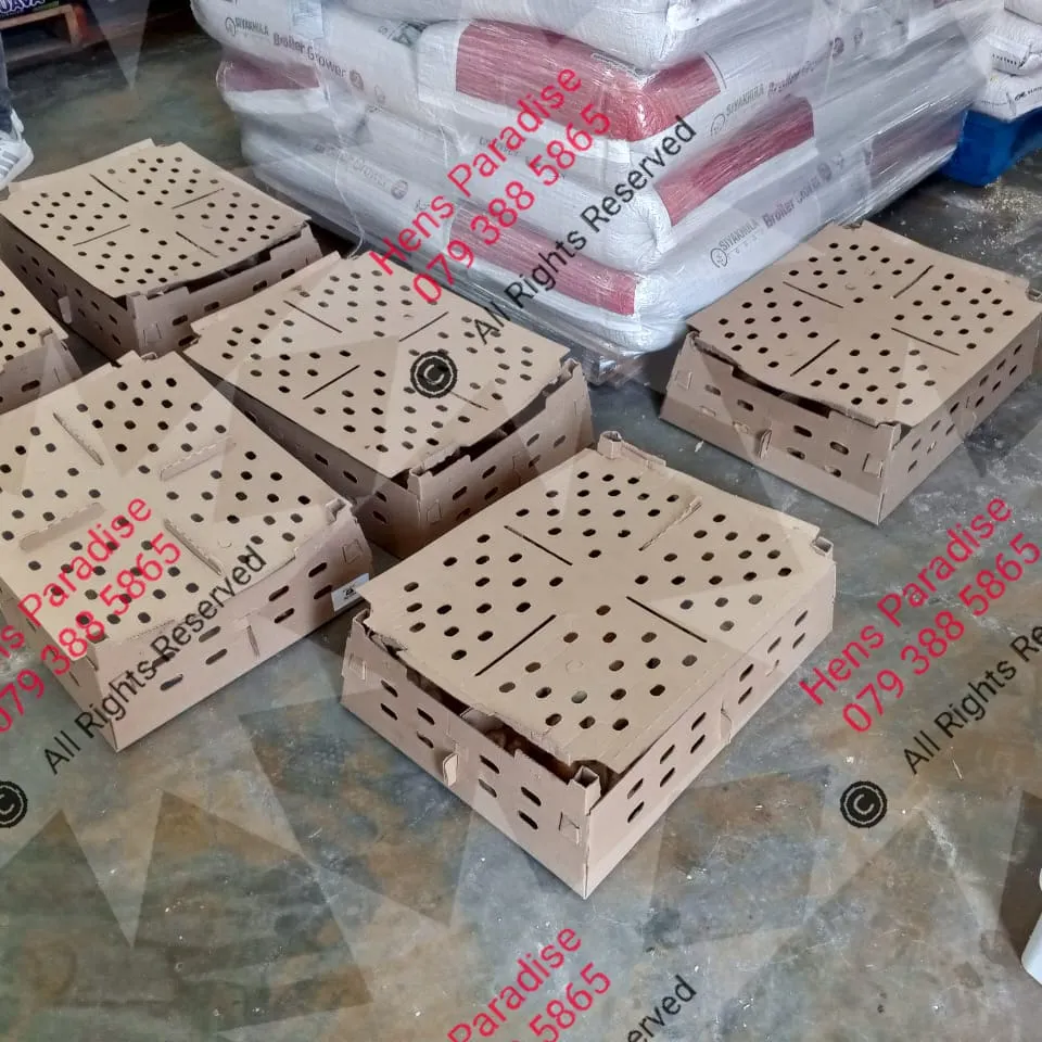 IMG-20250217-WA0067