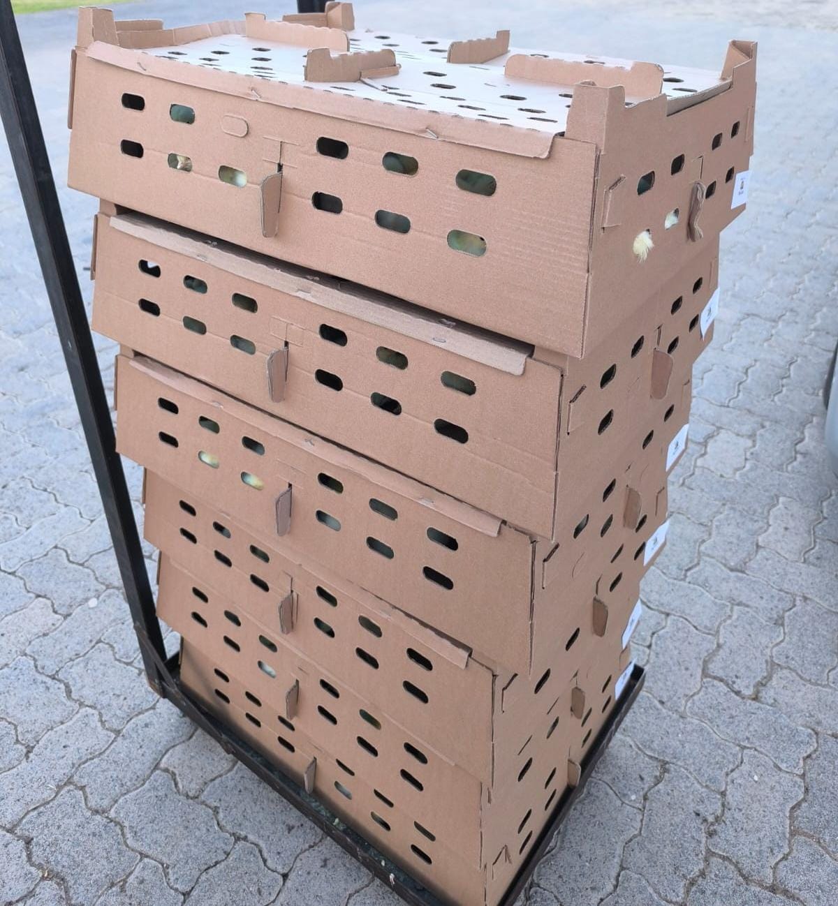 WhatsApp Image 2026-03-18 at 15.37.43 (1)