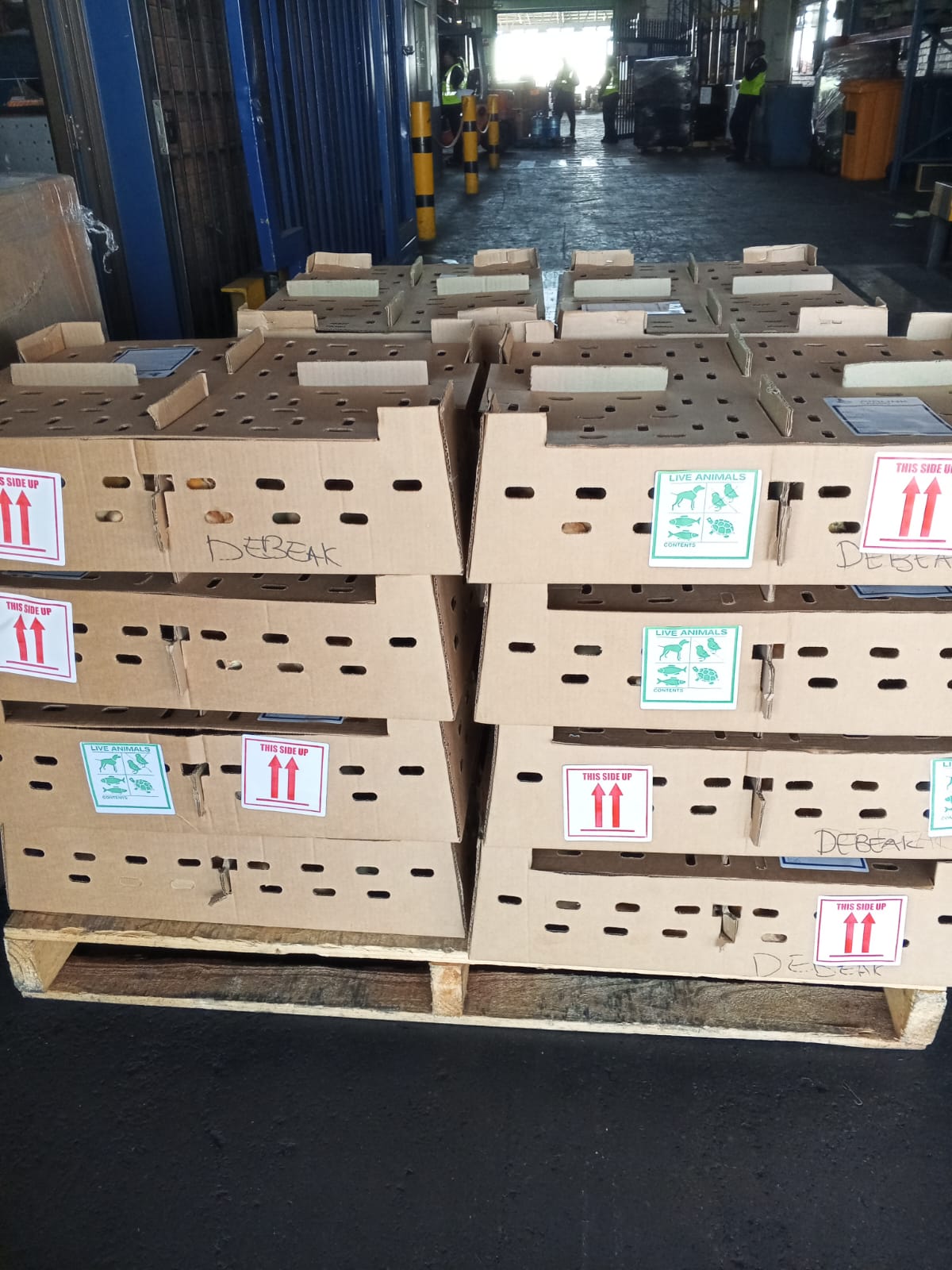 WhatsApp Image 2026-03-18 at 15.37.45 (2)