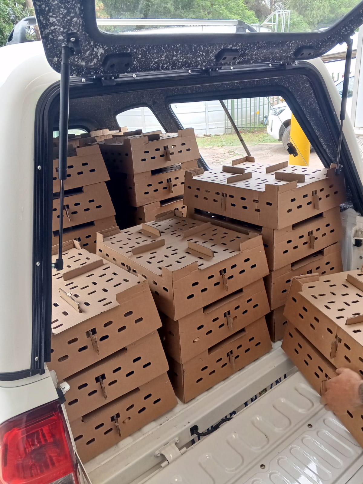 WhatsApp Image 2026-03-18 at 15.37.46 (3)